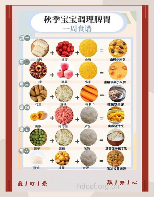 秋季三餐合理荤素搭配更健康