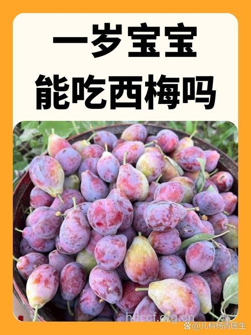 多吃西梅可保年轻
