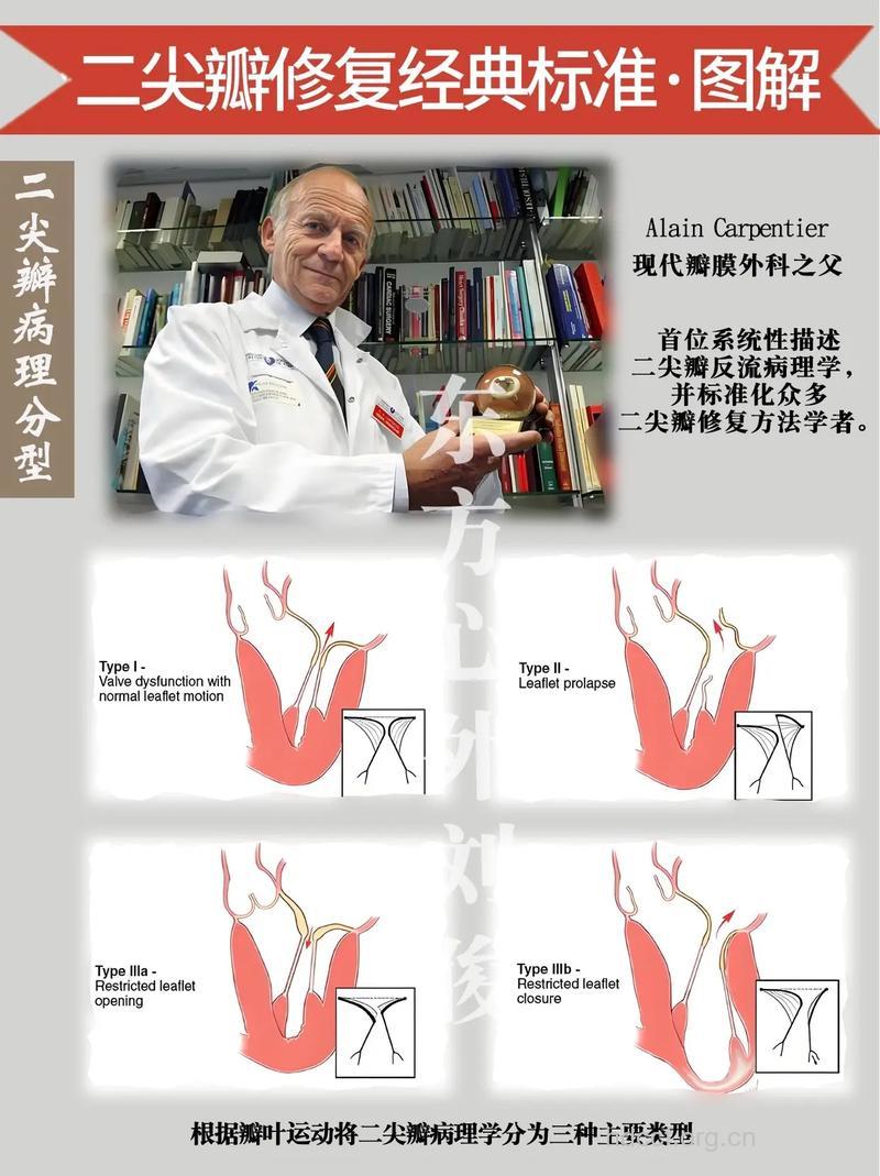 临床重症心脏瓣膜病手术治疗探讨