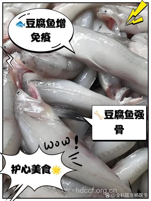 鱼和豆腐一出山 骨质疏松忙逃窜