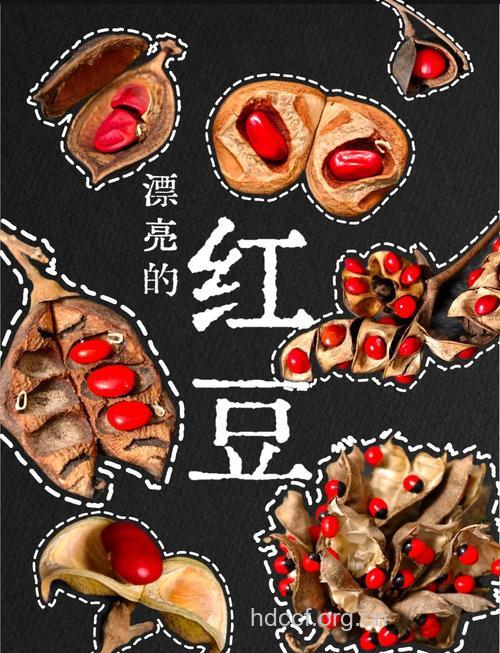 美味红豆让你同时拥有苗条和美丽