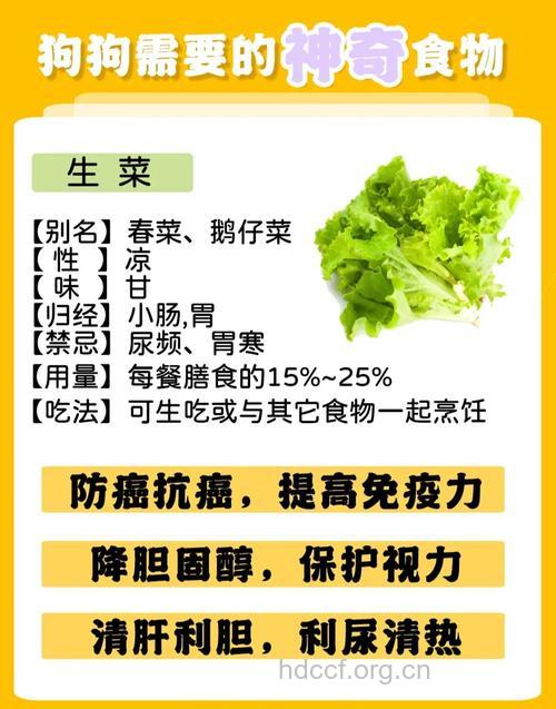 维生素可以当蔬菜的替身吗