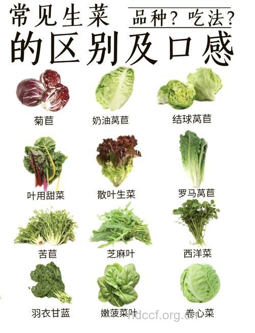 哪些蔬菜生吃才更能体现其魅力