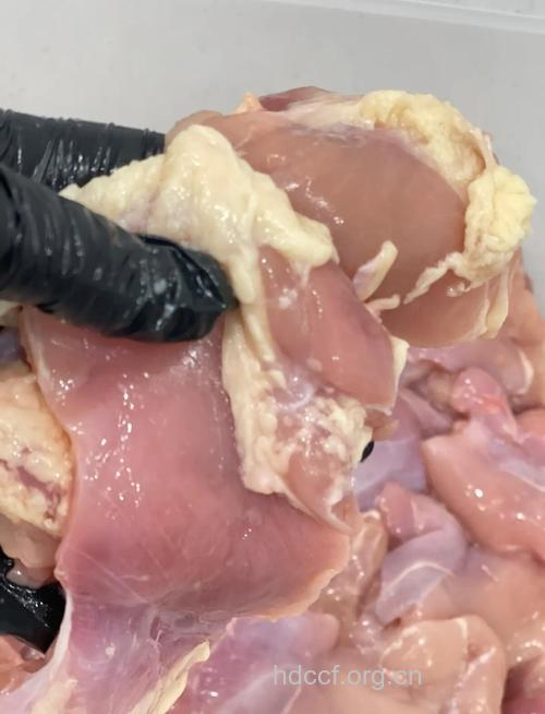 揭开食用鸡肉的几大真相