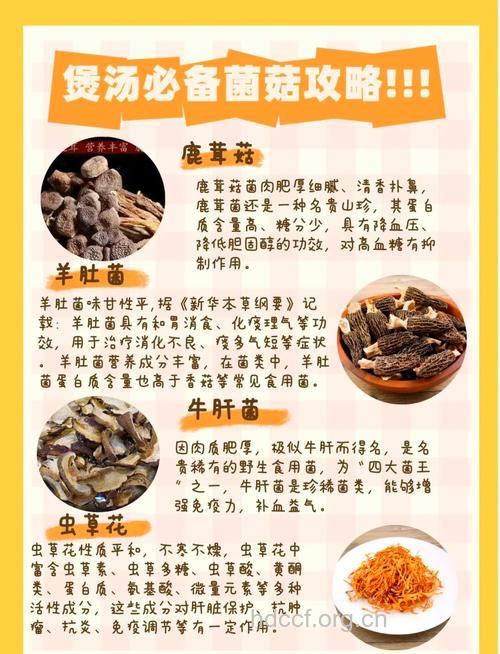 家常菜 蘑菇锅巴汤做法详解