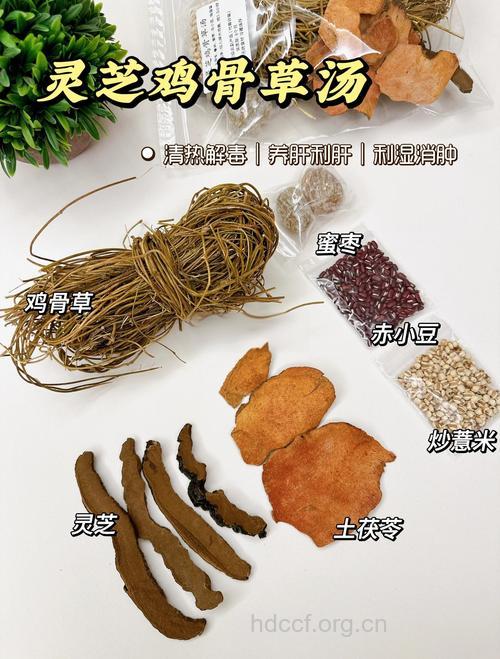 鸡汤做法大全 灵芝乌鸡汤做法详解