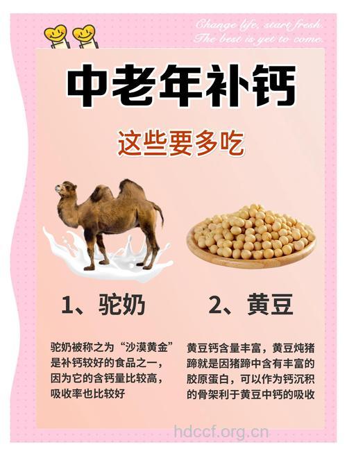 老人吃什么可以补钙