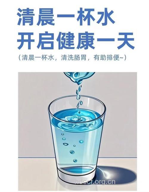 早上的时候喝水可以排毒