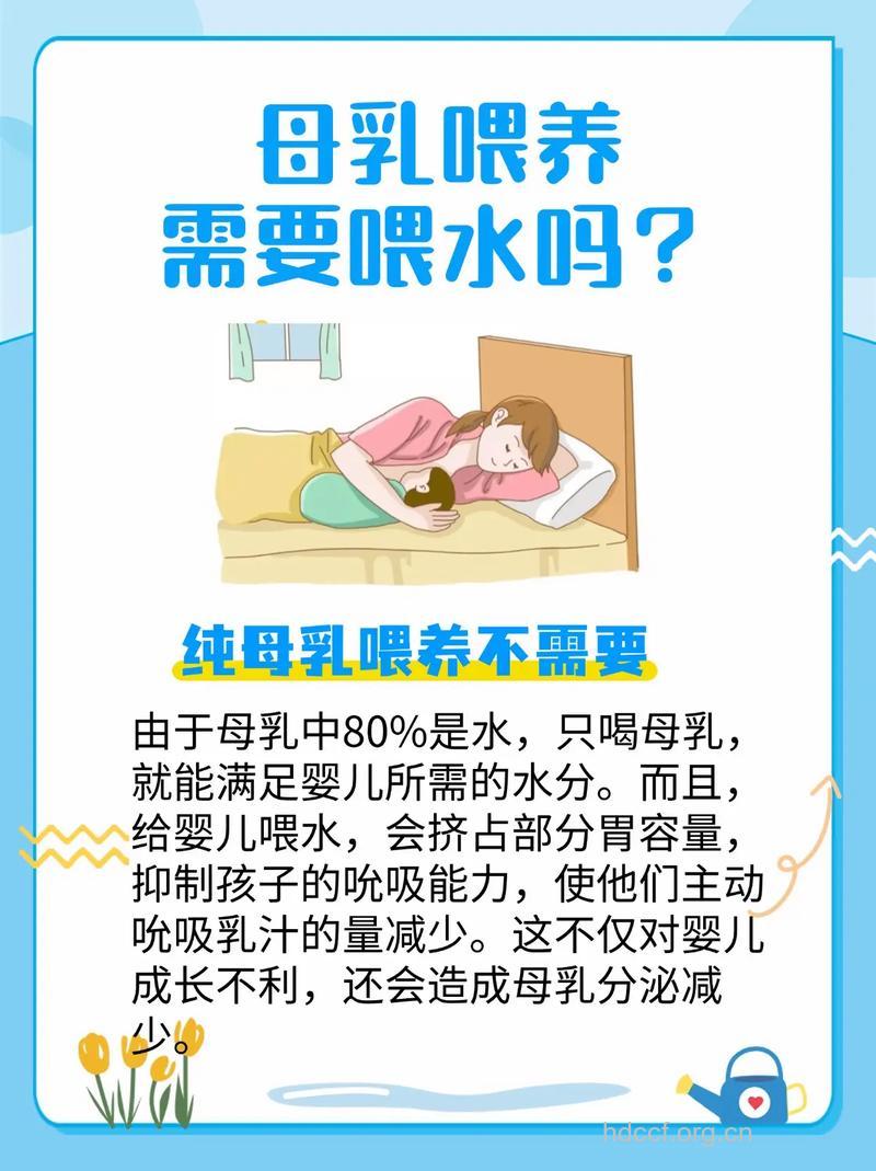 喂宝宝母乳之后不需要在喂水