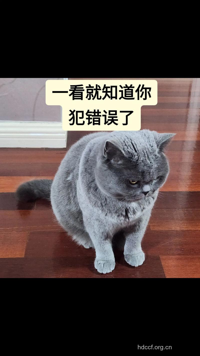 你也在犯这种错误吗