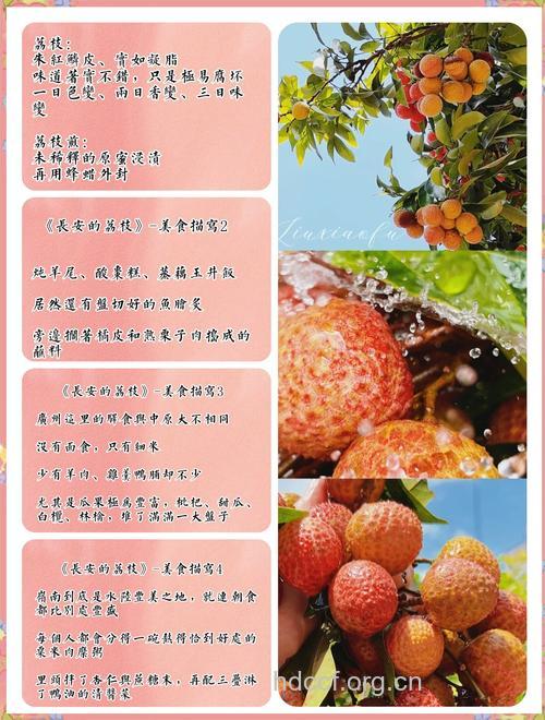 三步曲让荔枝满足你的胃