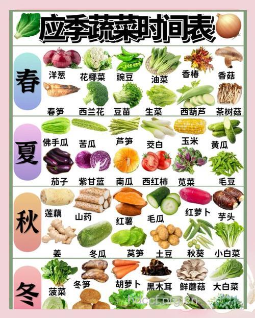 吃时令蔬菜才能事半功倍