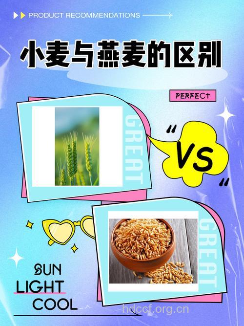 小麦与谁是最佳搭档