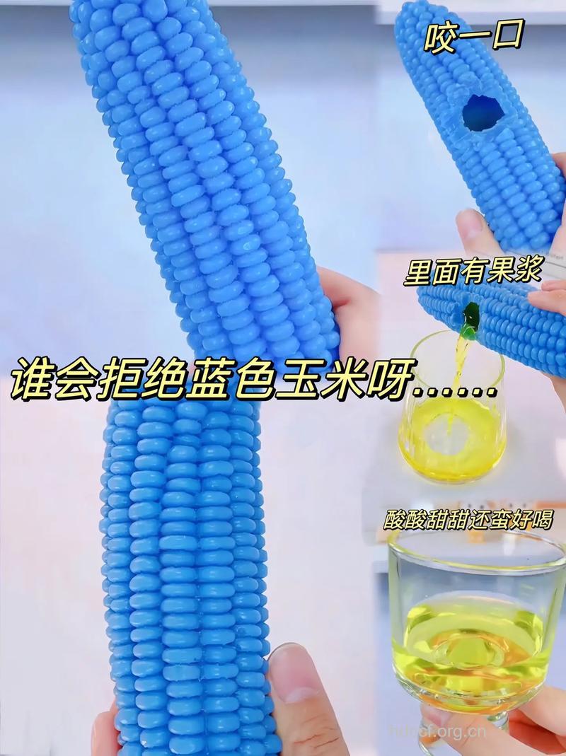 蓝色玉米界的“新宠”