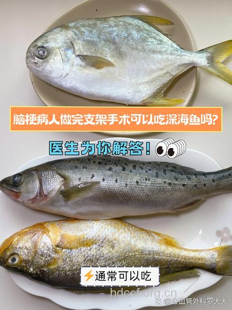 炸鱼心脑血管的克星