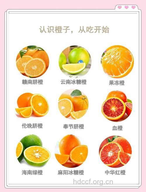 七种水果让你自信地着露肚装