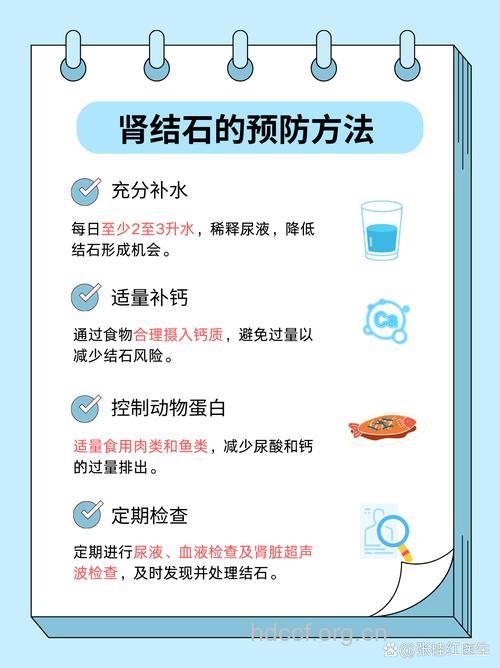 肾结石形成的主要原因