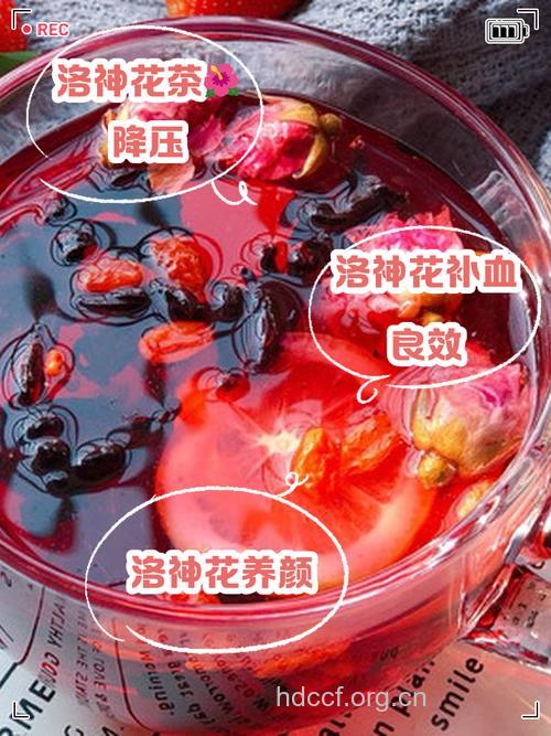 自制洛神花酸梅汤 怎么做好喝