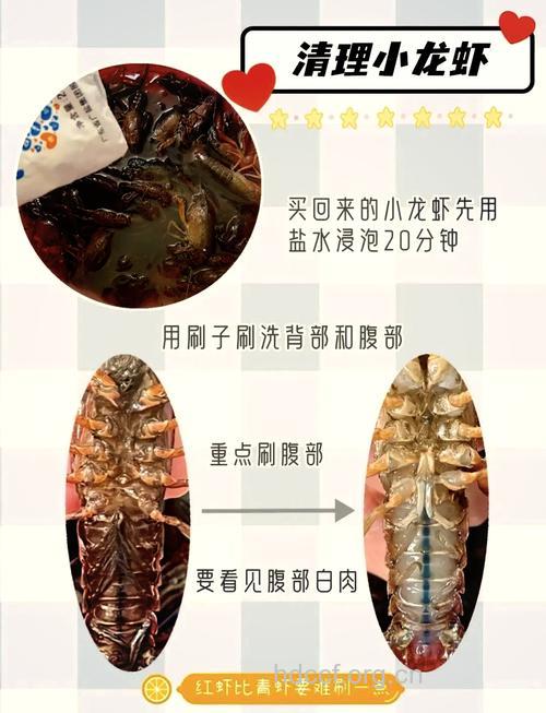 如何洗小龙虾更干净 吃的健康就这样做