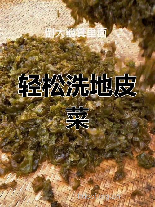 洗地皮菜就要洗干净 推荐三种清洁方法