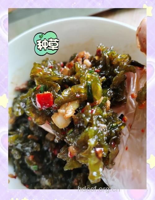 如何凉拌地皮菜 这样拌爽口美味