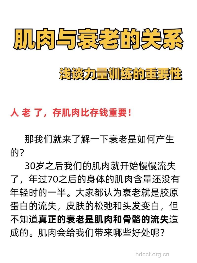 老年人如何应对肌肉衰老
