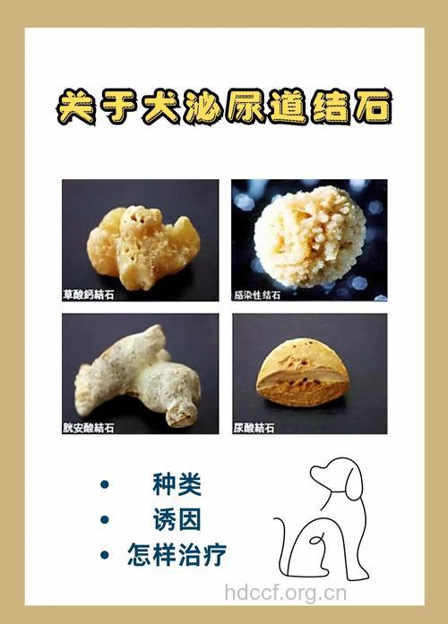 哪些原因导致尿路结石