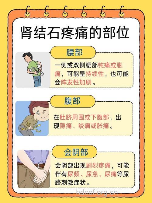 为什么肾结石会导致性生活疼痛