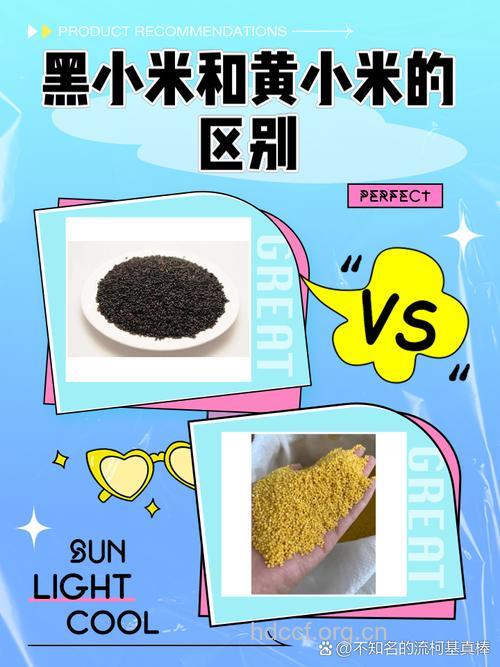 如何辨别染色的小米