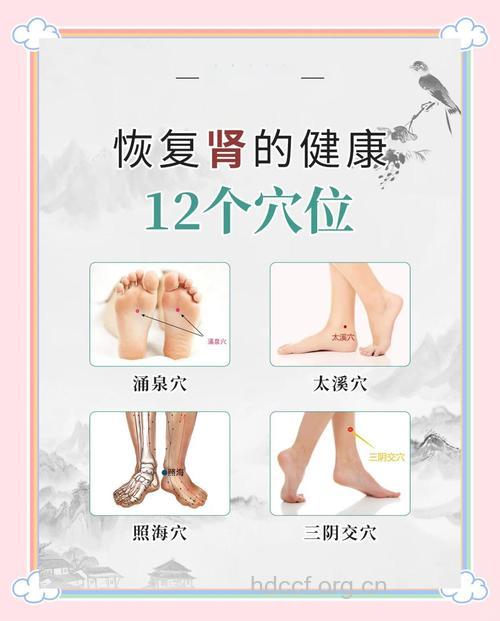 穴位按摩也可治疗肾病