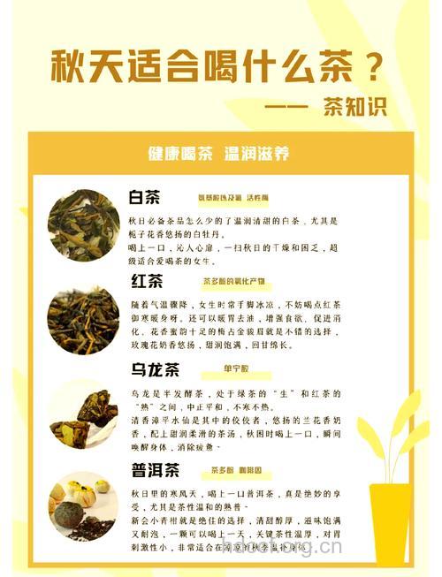 秋天喝茶的好处与注意事项