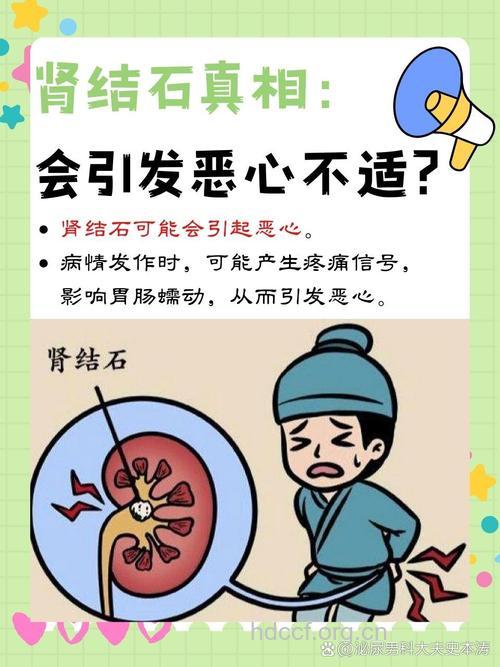 孩子“腹痛” 警惕肾结石惹祸