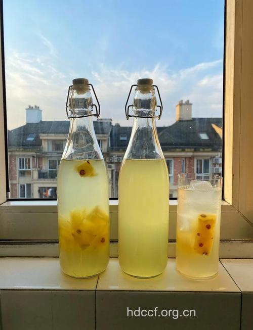 运动必备!教你自制运动饮料