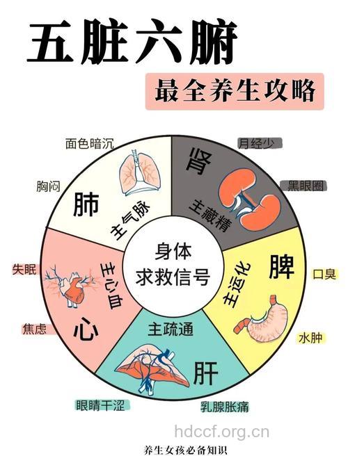 如何调理肺腑五法
