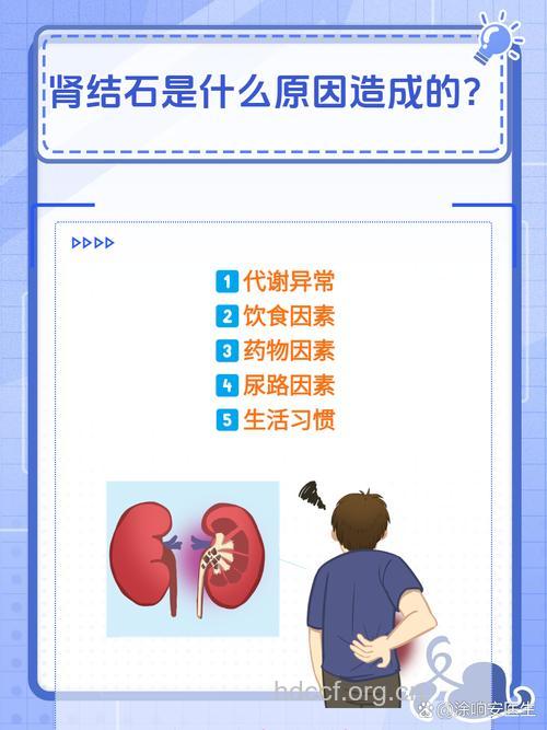 肾结石与骨质疏松病因竟相同