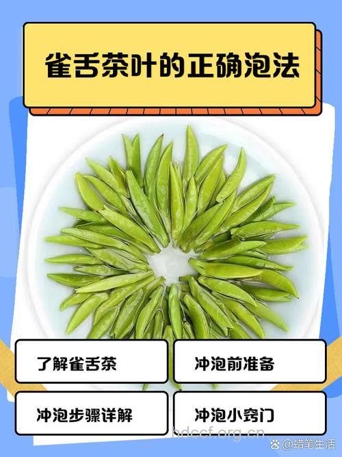 雀舌茶的泡法及功效