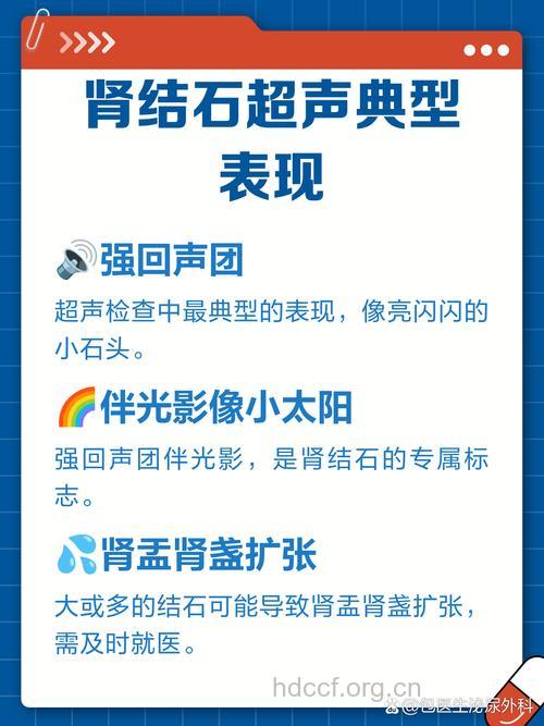 肾的“石头记”