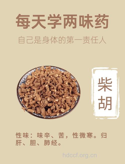 老人不能经常服用柴胡制剂