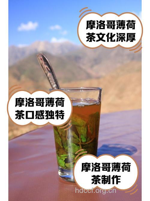 摩洛哥薄荷茶的泡法及功效