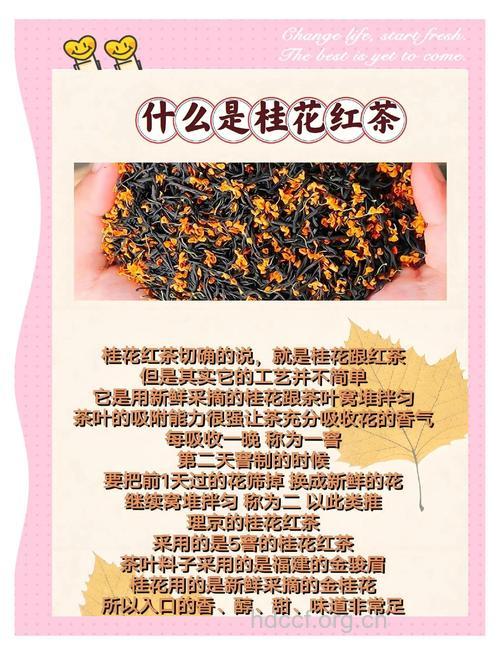 提神润肺明目 盘点桂花茶的功效与作用