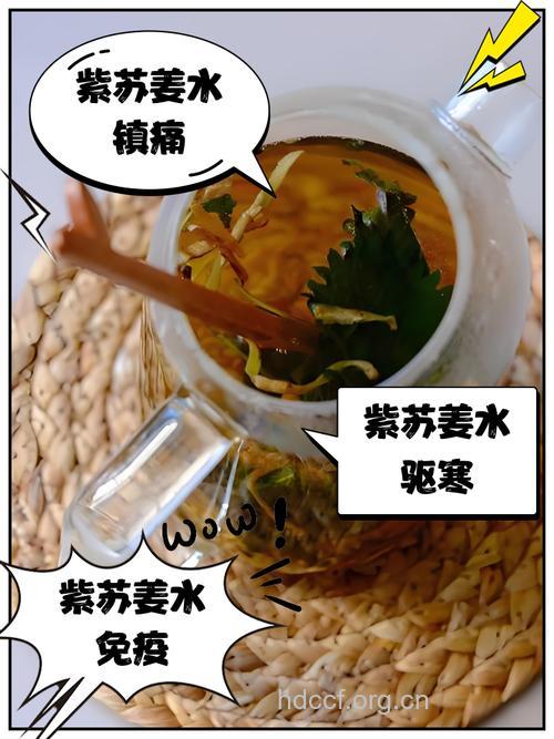紫苏甜姜茶的泡法及功效