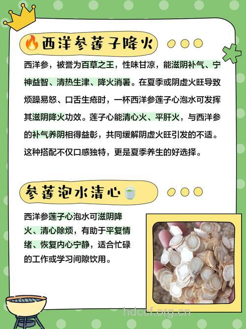 西洋参莲子茶的泡法及功效