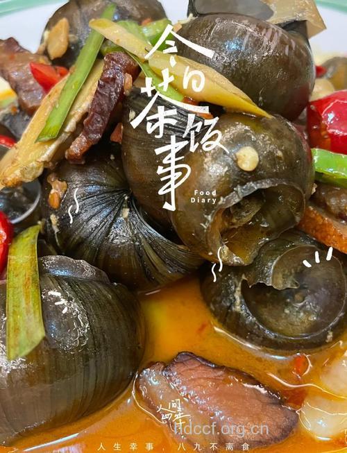 夏季三款螺蛳食谱 吃的下饭吃的开心