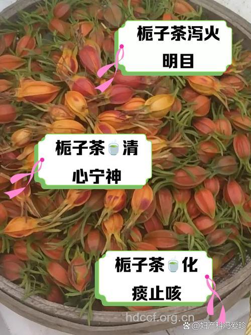 苦丁栀子红巧梅茶的泡法及功效