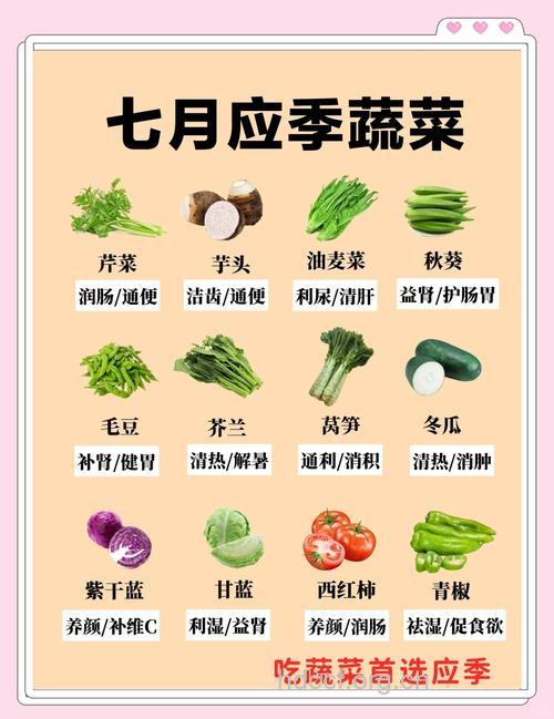 夏天吃什么蔬菜 这五种要常吃