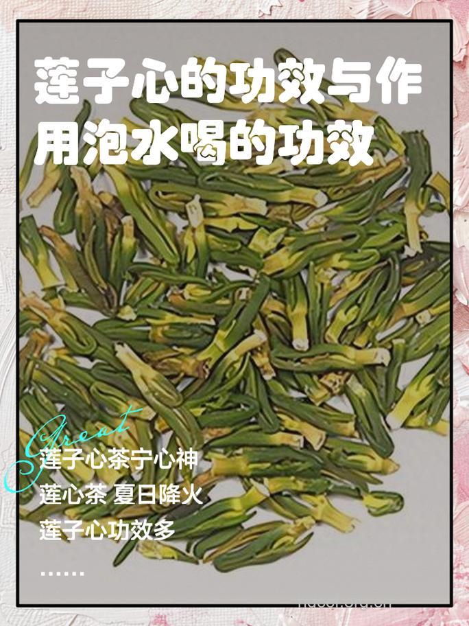 莲子心甘草茶的泡法及功效