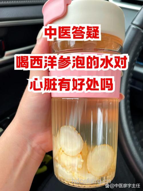 西洋参茶的泡法及功效