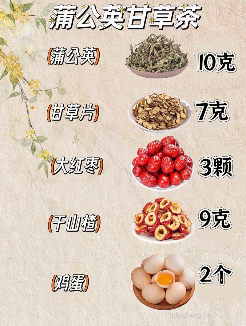 甘草蒲公英茶的泡法及功效