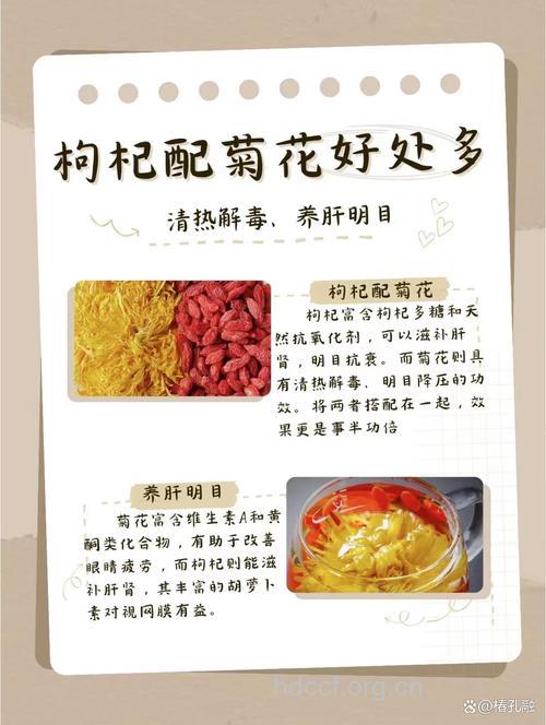 菊花枸杞茶的泡法及功效