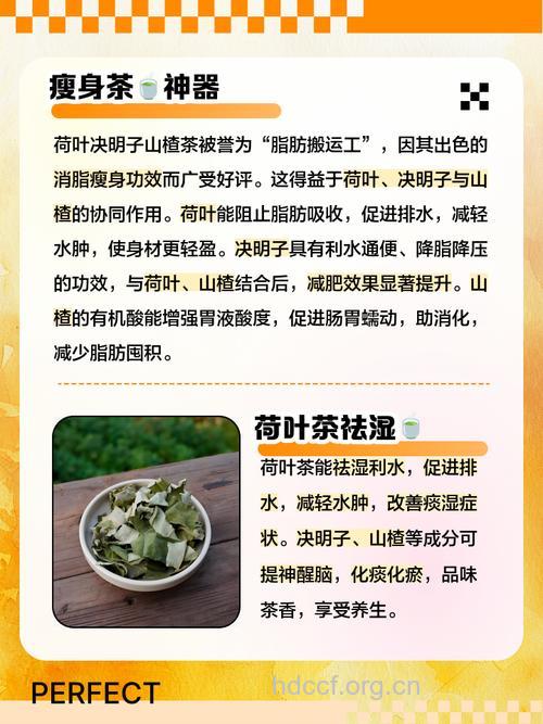决明子荷叶茶的泡法及功效